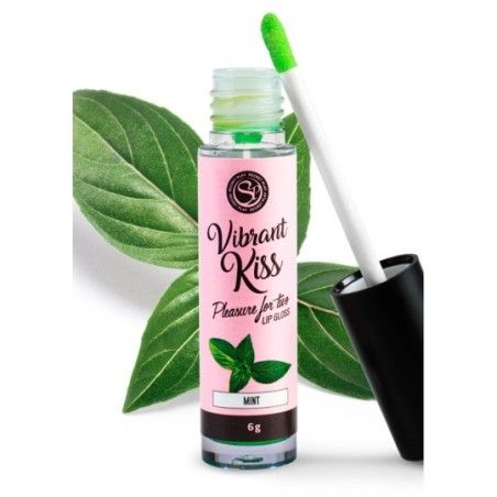 Lip Gloss Vibrant Kiss Menta 6 gr