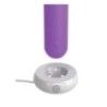 Mini Vibratore vaginale bullet ricaricabile Mini Vibratore vaginale bullet ricaricabile