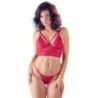 Completo sexy intimo in pizzo rosso Cottelli Completo sexy intimo in pizzo rosso Cottelli
