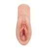 Masturbatore Perfect Pussy Dream Stroker