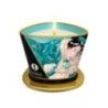 Candela da massaggio Island blossom 170 ml