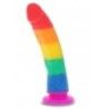 Fallo con ventosa Pride Edition 21 cm