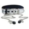 Collare con pinze per capezzoli Lovetoy
