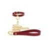 Collare O-Ring con guinzaglio Taboom rosso Collare O-Ring con guinzaglio Taboom rosso