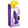 Vibratore anale viola ricaricabile Vibratore anale viola ricaricabile