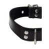 Collare D-Ring regolabile Taboom bdsm nero Collare D-Ring regolabile Taboom bdsm nero