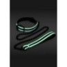 Collare e guinzaglio GLO bondage fluorescenti Collare e guinzaglio GLO bondage fluorescenti