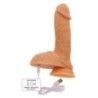 Dildo vibrante realistico Vibrating 17 cm Dildo vibrante realistico Vibrating 17 cm
