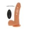 Dildo vibrante a spinta Up&Down 19,5 cm Dildo vibrante a spinta Up&Down 19,5 cm