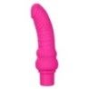 Fallo vibrante curvo 17,5 cm fucsia Fallo vibrante curvo 17,5 cm fucsia