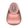 Succhia clitoride e vibrazione Rosa Succhia clitoride e vibrazione Rosa