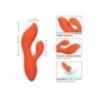 Vibratore rabbit Stella Dual Teaser Vibratore rabbit Stella Dual Teaser