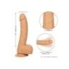 Fallo realistico Silicone Studs 25.5cm chiaro Fallo realistico Silicone Studs 25.5cm chiaro