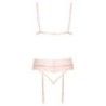 Set sexy reggiseno perizoma reggicalze rosa Set sexy reggiseno perizoma reggicalze rosa