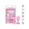 Plug Anali Kit 2pz Crystal Booty Duo Rosa Plug Anali Kit 2pz Crystal Booty Duo Rosa