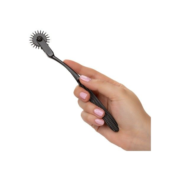 Rotella di Wartenberg Boundless Pleasure