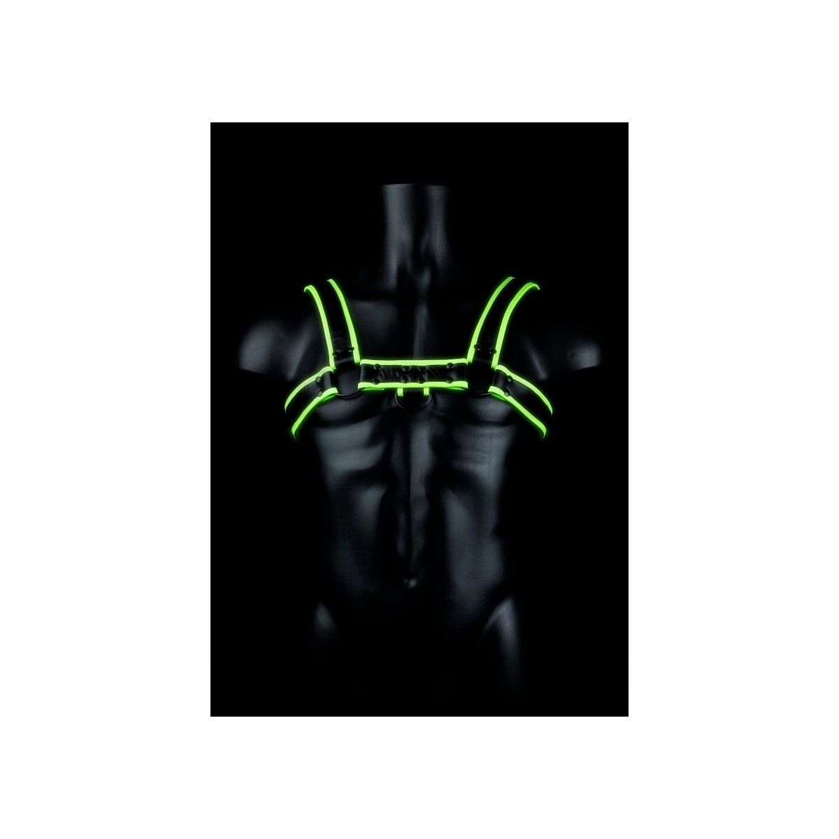 Imbragatura uomo fosforescente Chest Bulldog Harness - GitD - Neon Green/Black