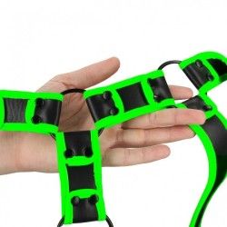 Pettorina regolabile 2 fibbie verde fluo/nero Pettorina regolabile 2 fibbie verde fluo/nero