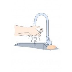 Sapone mani forma di vagina Pussy Soap Sapone mani forma di vagina Pussy Soap