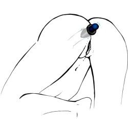 Plug anale cavo Lust Tunnel M Plug anale cavo Lust Tunnel M
