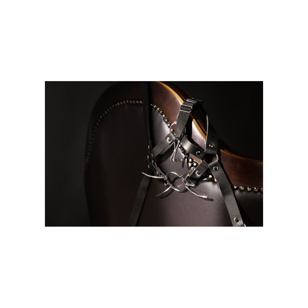 Imbracatura viso BDSM con Spider Gag nera