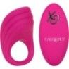 Anello pene stimola clito telecomando fucsia Anello pene stimola clito telecomando fucsia