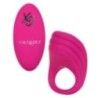Anello pene stimola clito telecomando fucsia Anello pene stimola clito telecomando fucsia