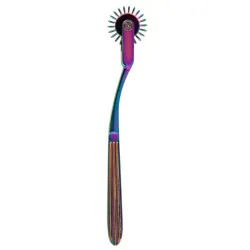 Rotella di Wartenberg bdsm singola arcobaleno Rotella di Wartenberg bdsm singola arcobaleno