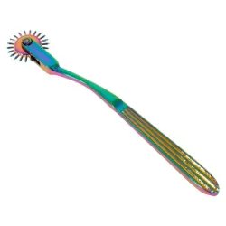 Rotella di Wartenberg bdsm singola arcobaleno Rotella di Wartenberg bdsm singola arcobaleno