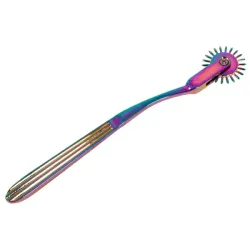 Rotella di Wartenberg bdsm singola arcobaleno Rotella di Wartenberg bdsm singola arcobaleno