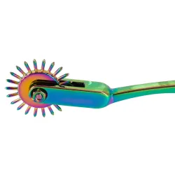 Rotella di Wartenberg bdsm singola arcobaleno Rotella di Wartenberg bdsm singola arcobaleno