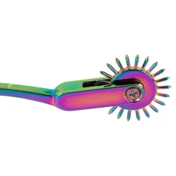 Rotella di Wartenberg bdsm singola arcobaleno Rotella di Wartenberg bdsm singola arcobaleno