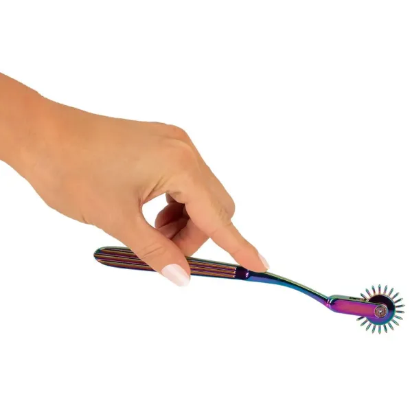 Rotella di Wartenberg bdsm singola arcobaleno