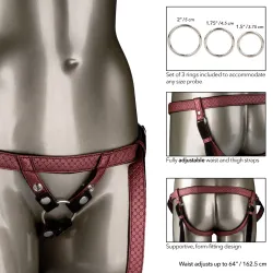 Imbracatura bordeaux strapon donna Her Royal Imbracatura bordeaux strapon donna Her Royal