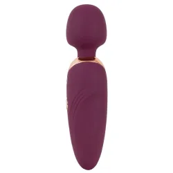 Wand stimolatore massaggiante Petit viola Wand stimolatore massaggiante Petit viola