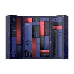 Calendario Avvento Premium 2024 - Satisfyer Calendario Avvento Premium 2024 - Satisfyer