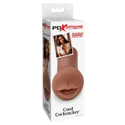 Masturbatore Uomo mulatto bocca Cocksucker Masturbatore Uomo mulatto bocca Cocksucker