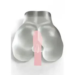 Masturbatore uomo vagina pecorina trasparente Masturbatore uomo vagina pecorina trasparente