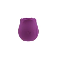 Succhia clitoride la rosa in silicone viola