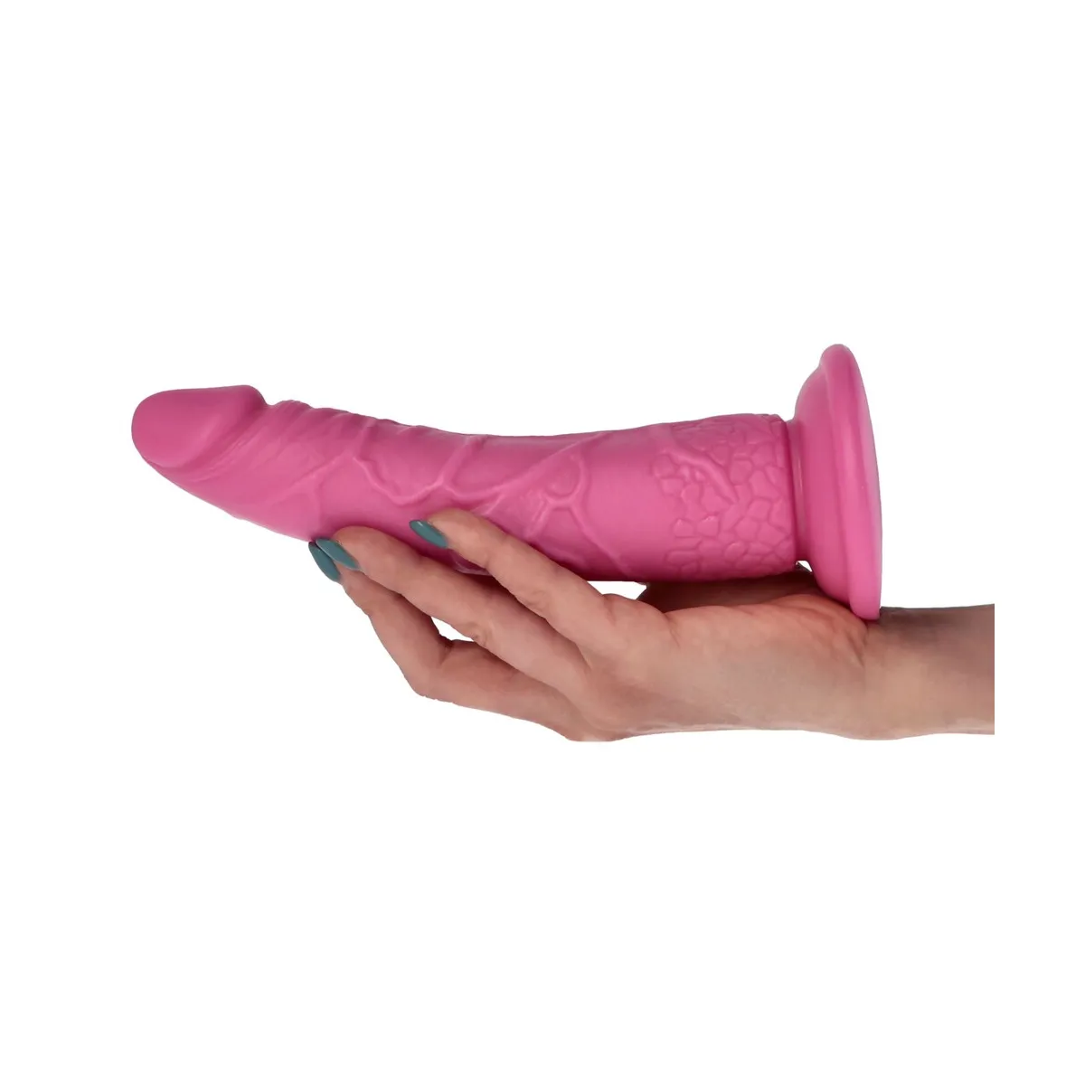 Dildo Realistico slim Clearco 21 cm Dildo Realistico slim Clearco 21 cm