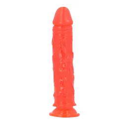 Dildo Realistico Jelly e ventosa Clasus 20 cm Dildo Realistico Jelly e ventosa Clasus 20 cm