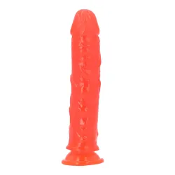 Dildo Realistico Jelly e ventosa Clasus 20 cm Dildo Realistico Jelly e ventosa Clasus 20 cm