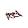 Imbracatura bordeaux strapon Regal Queen Imbracatura bordeaux strapon Regal Queen