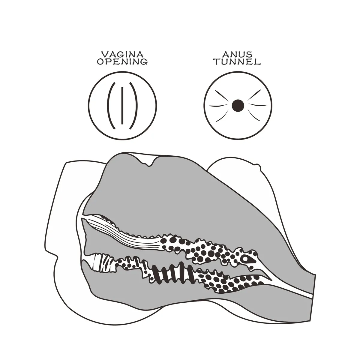 Masturbatore uomo mini busto femminile curvy
