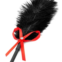 Frustino BDSM 2 in 1 con piuma solleticatore