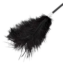 Frustino e solleticatore BDSM 2 in 1 da 43 cm