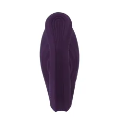 Vibratore per coppia Didi Passion viola