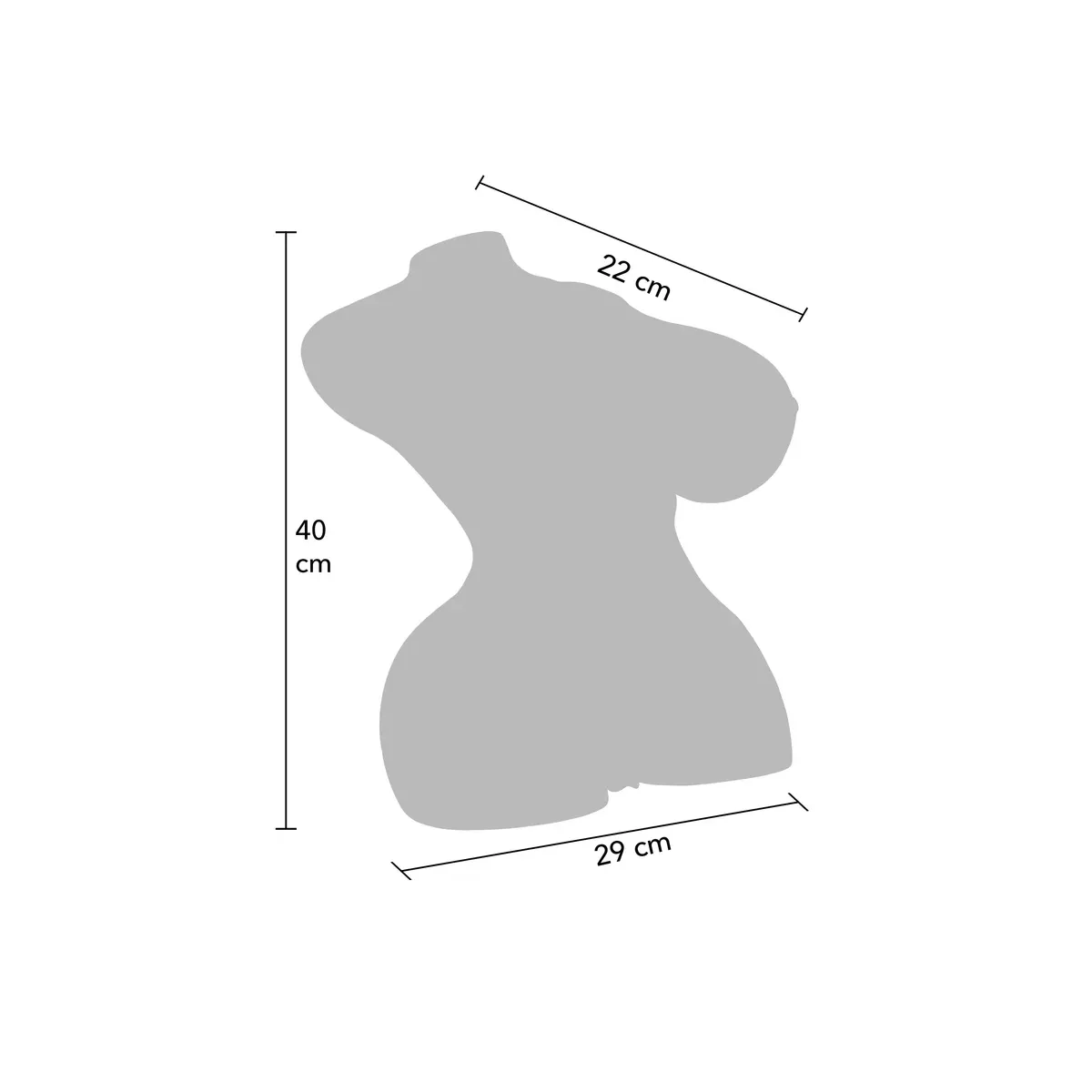 Mezzo busto realistico femminile 10 kg