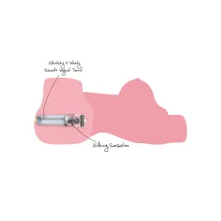 Mezzo busto realistico femminile 10 kg