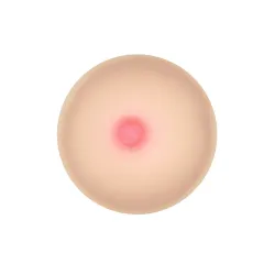 Sapone a Forma di Seno Realistico